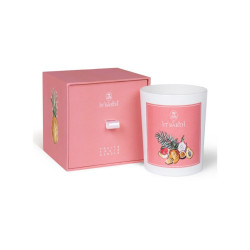 Ligne St Barth – Fruits Frais Candle – limitiert – Beauty Flash Shop Online
