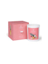 Ligne St Barth – Fruits Frais Candle – limitiert – Beauty Flash Shop Online