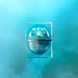 Dalton S.E.A. Marine Stammzellen Creme – Beauty Flash Shop Online