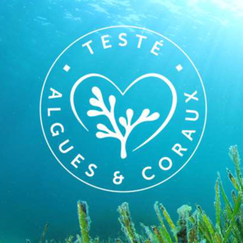 Thalgo River Sun Lait Fraicheur Proglongateur – Beauty Flash Shop Online