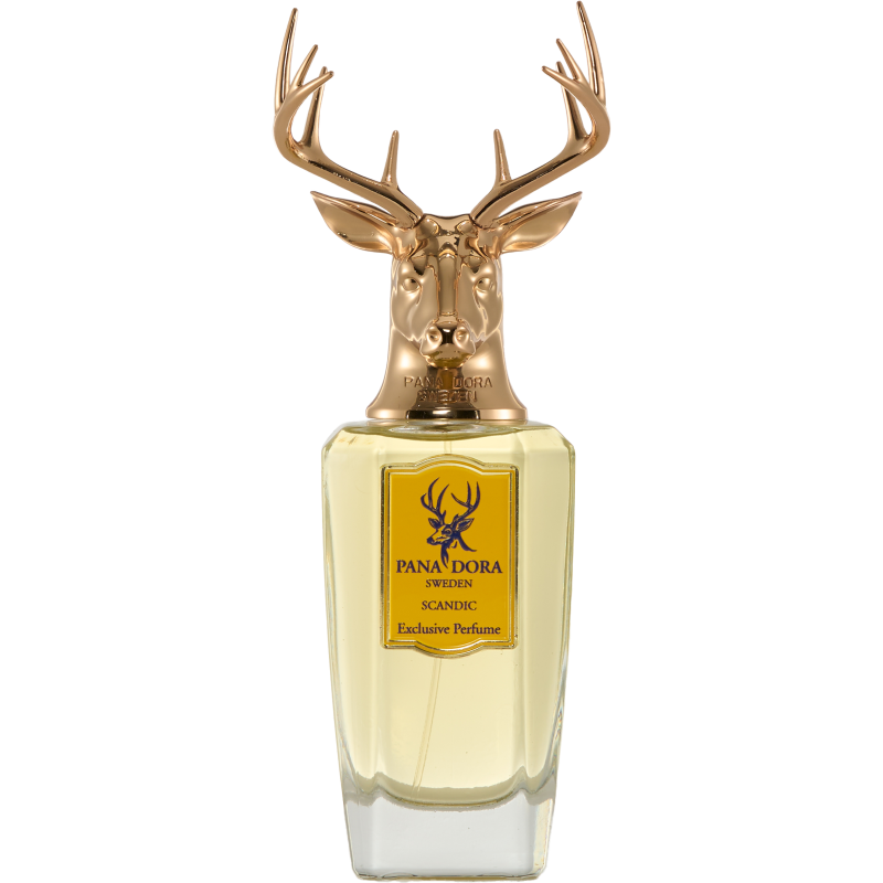 Pana Dora Scandic Eau de Parfum – Beauty Flash Shop Online