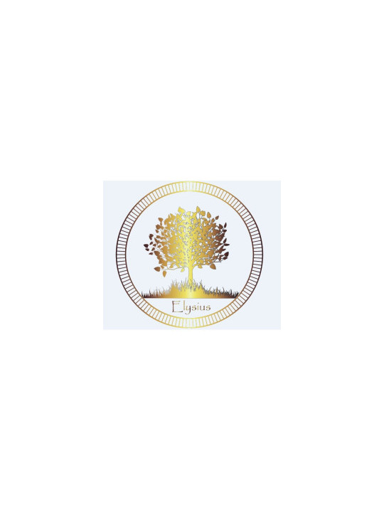 Elysius Naturkosmetik – Bio Aloe Vera Gel 99% heilt und kühlt die Haut